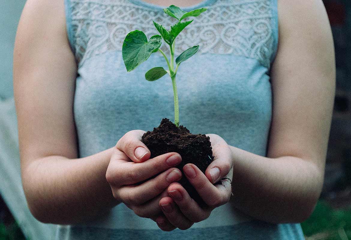 Engenharia Ambiental - bacharelado