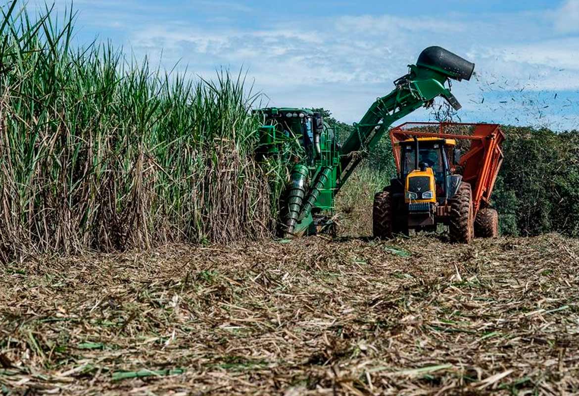 Tecnologia em Agronegócio – tecnólogo