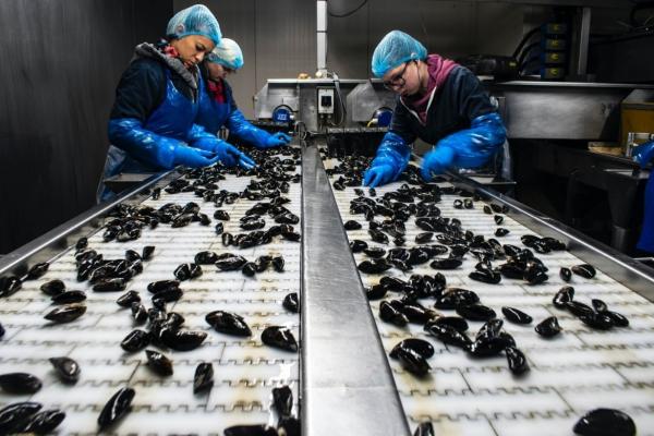 Engenharia de Alimentos - bacharelado