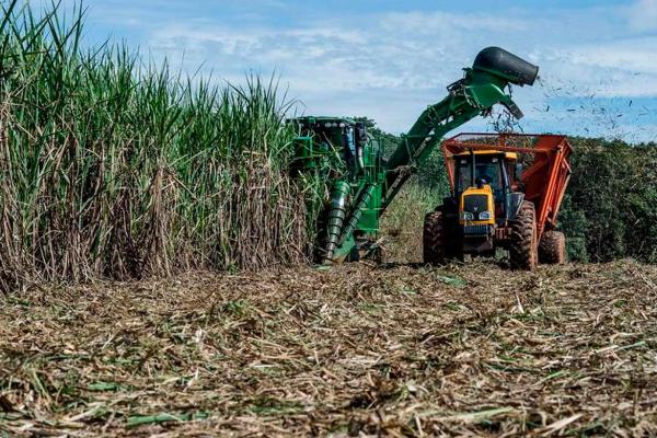 Tecnologia em Agronegócio – tecnólogo