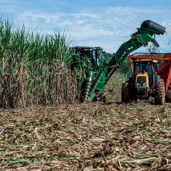 Tecnologia em Agronegócio - ITUIUTABA